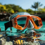 snorkel-bg-55.webp